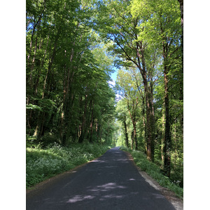 รูปถ่าย ฝรั่งเศส(France) ฟลัวรัก(Floirac) 2018-04 32