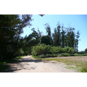 รูปถ่าย ฝรั่งเศส(France) เกาะปอร์เกอรอล(Porquerolles Island) ที่ราบกูร์ตาด(Plaine de la courtade) 2008-05 5