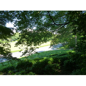 รูปถ่าย ญี่ปุ่น(Japan) โตเกียว(Tokyo) พระราชวังหลวง(Imperial Palace) 2010-06 93
