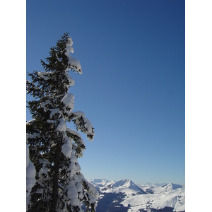 รูปถ่าย ออสเตรีย(Austria) คิทซ์บูเฮล(Kitzbuhel) สกี(Ski) 2005-03 111