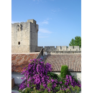 รูปถ่าย ฝรั่งเศส(France) แอก-มอร์ต(Aigues Mortes) โรงแรมเลเต็งปลีเย(Les Templiers Hotel) 2004-08 13