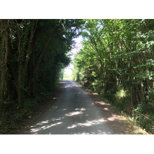 รูปถ่าย ฝรั่งเศส(France) เกาะแบล-อีล(Belle-Ile) 2016-08 176