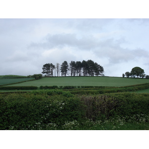 รูปถ่าย อังกฤษ(United Kingdom) อุทยานแห่งชาติเบรคอนบีคอนส์(Brecon Beacons National Park) 2006-05 3