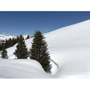 รูปถ่าย ฝรั่งเศส(France) เมแฌฟว์(Megeve) 2019-03 92
