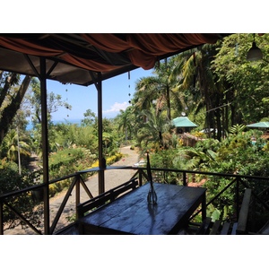 รูปถ่าย คอสตาริกา(Costa Rica) มานวยล์อันโตนีโอ(Manuel Antonio) 2015-03 486
