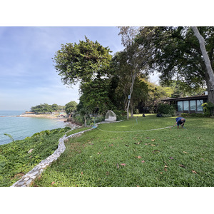 รูปถ่าย ไทย(Thailand) พัทยา(Pattaya) 2024-12 47