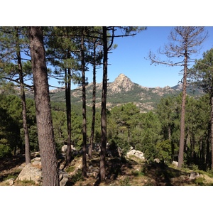 รูปถ่าย ฝรั่งเศส(France) คอร์สิคา(Corsica) ป่าลอสเปดาเล(L'ospedale Forest) 2012-09 32