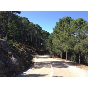 รูปถ่าย ฝรั่งเศส(France) คอร์สิคา(Corsica) ป่าลอสเปดาเล(L'ospedale Forest) 2012-09 10