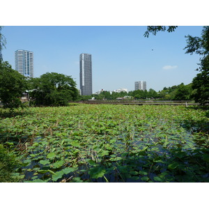 รูปถ่าย ญี่ปุ่น(Japan) โตเกียว(Tokyo) อุเอโนะ(Ueno) 2010-06 11