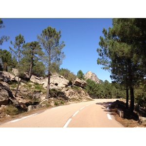 รูปถ่าย ฝรั่งเศส(France) คอร์สิคา(Corsica) ป่าลอสเปดาเล(L'ospedale Forest) 2012-09 8
