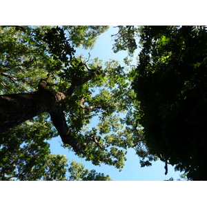 รูปถ่าย ฟิจิ(Fiji) อุทยานแห่งชาติเนินทรายซิงกาโตกา(Sigatoka sand dunes national park) 2010-05 28