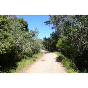 รูปถ่าย ฝรั่งเศส(France) เกาะปอร์เกอรอล(Porquerolles Island) ที่ราบกูร์ตาด(Plaine de la courtade) 2008-05 32