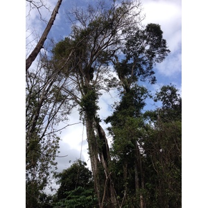 รูปถ่าย คอสตาริกา(Costa Rica) กาอุยตา(Cahuita) 2015-03 130