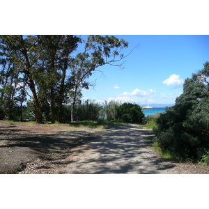 รูปถ่าย ฝรั่งเศส(France) เกาะปอร์เกอรอล(Porquerolles Island) ที่ราบกูร์ตาด(Plaine de la courtade) 2008-05 39