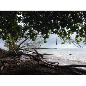 รูปถ่าย คอสตาริกา(Costa Rica) กาอุยตา(Cahuita) 2015-03 83