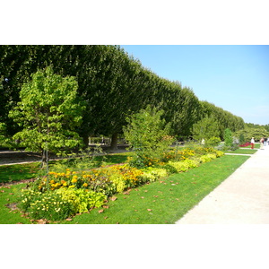 รูปถ่าย ฝรั่งเศส(France) ปารีส(Paris) สวนพันธ์ุพืช(Jardin des Plantes) 2007-08 208