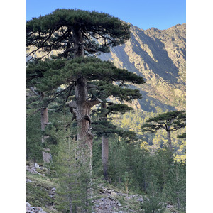 รูปถ่าย ฝรั่งเศส(France) คอร์สิคา(Corsica) ภูเขามอนเตชินโต(Monte Cinto) 2023-10 8