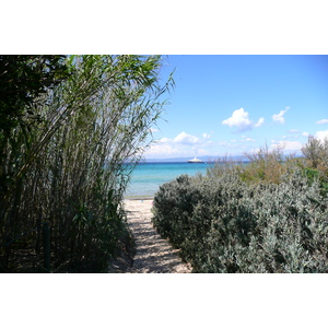 รูปถ่าย ฝรั่งเศส(France) เกาะปอร์เกอรอล(Porquerolles Island) ที่ราบกูร์ตาด(Plaine de la courtade) 2008-05 44