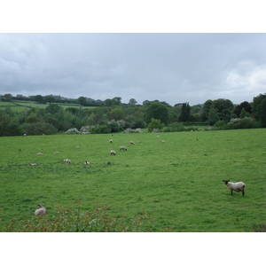 รูปถ่าย อังกฤษ(United Kingdom) อุทยานแห่งชาติเบรคอนบีคอนส์(Brecon Beacons National Park) 2006-05 113