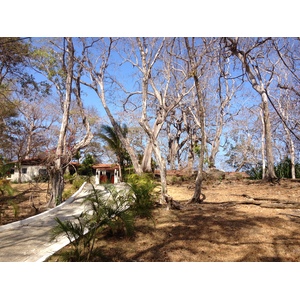 รูปถ่าย ปานามา(Panama) เกาะคอนตาโดรา(Contadora Island) 2015-03 145