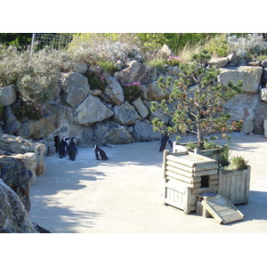 รูปถ่าย ฝรั่งเศส(France) เลอกรัวซิก(Le Croisic) 2004-08 25