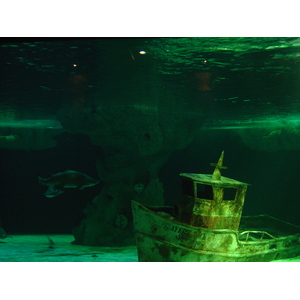 รูปถ่าย ฝรั่งเศส(France) เลอกรัวซิก(Le Croisic) 2004-08 30