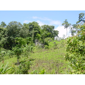 รูปถ่าย ไทย(Thailand) แม่ฮ่องสอน(Mae Hong Son) 2003-07 105