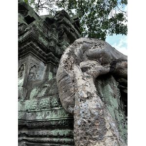 รูปถ่าย กัมพูชา(Cambodia) เสียมราฐ(Siem Reap) ปราสาทตาพรหม(Ta Prohm) 2023-01 19
