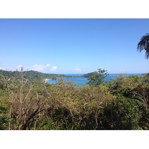 รูปถ่าย คอสตาริกา(Costa Rica) มานวยล์อันโตนีโอ(Manuel Antonio) 2015-03 417