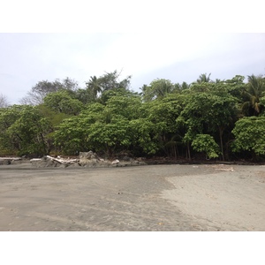 รูปถ่าย คอสตาริกา(Costa Rica) มอนเตซูมา(Montezuma) 2015-03 205