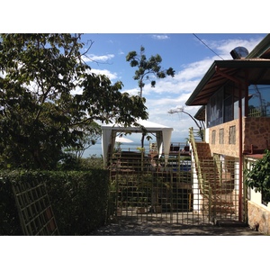 รูปถ่าย คอสตาริกา(Costa Rica) มานวยล์อันโตนีโอ(Manuel Antonio) 2015-03 480