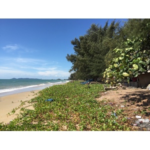 รูปถ่าย ไทย(Thailand) โรงแรมแมริออท ระยอง(Marriott Rayong) 2016-01 106