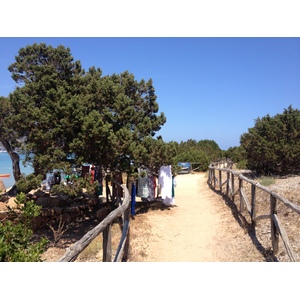 รูปถ่าย อิตาลี(Italy) ซาร์ดิเนีย(Sardinia) แหลมกาโปโกดากาวัลโล(Capo Coda Cavallo) 2015-06 14