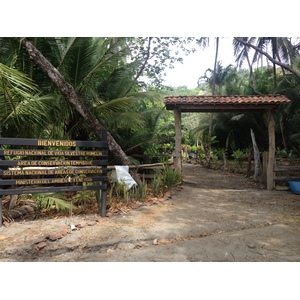 รูปถ่าย คอสตาริกา(Costa Rica) มอนเตซูมา(Montezuma) 2015-03 165
