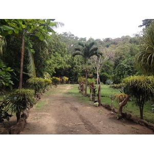 รูปถ่าย คอสตาริกา(Costa Rica) มอนเตซูมา(Montezuma) 2015-03 232