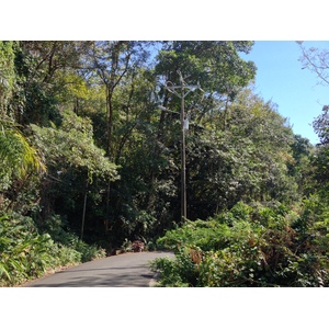 รูปถ่าย คอสตาริกา(Costa Rica) มานวยล์อันโตนีโอ(Manuel Antonio) 2015-03 54