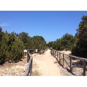 รูปถ่าย อิตาลี(Italy) ซาร์ดิเนีย(Sardinia) แหลมกาโปโกดากาวัลโล(Capo Coda Cavallo) 2015-06 83