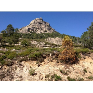 รูปถ่าย ฝรั่งเศส(France) คอร์สิคา(Corsica) ป่าลอสเปดาเล(L'ospedale Forest) 2012-09 42