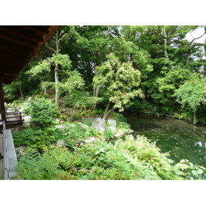 รูปถ่าย ญี่ปุ่น(Japan) เกียวโต(Kyoto) สวนโชเซเอ็ง(Shosei en Garden) 2010-06 41