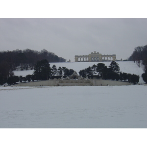 รูปถ่าย ออสเตรีย(Austria) เวียนนา(Vienna) 2005-03 69