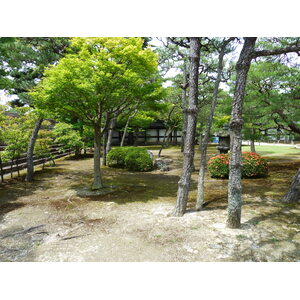 รูปถ่าย ญี่ปุ่น(Japan) เกียวโต(Kyoto) ปราสาทนิโจ(Nijo Castle) พระราชวังฮมมะรุ(Honmaru Palace) 2010-06 15