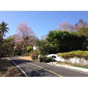 รูปถ่าย ปานามา(Panama) เกาะคอนตาโดรา(Contadora Island) 2015-03 165
