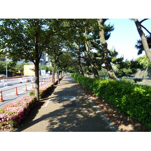 รูปถ่าย ญี่ปุ่น(Japan) โตเกียว(Tokyo) พระราชวังหลวง(Imperial Palace) 2010-06 34