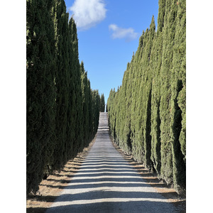 รูปถ่าย อิตาลี(Italy) ทัสคานี(Tuscany) 2021-09 26