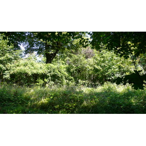 รูปถ่าย ฝรั่งเศส(France) ปารีส(Paris) สวนราเนอลาก(Jardins du Ranelagh) 2007-08 26