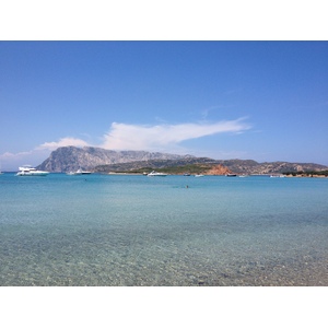 รูปถ่าย อิตาลี(Italy) ซาร์ดิเนีย(Sardinia) แหลมกาโปโกดากาวัลโล(Capo Coda Cavallo) 2015-06 39