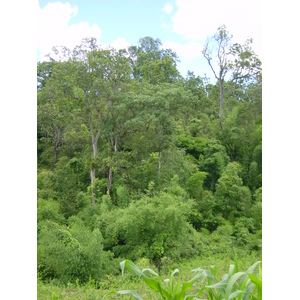 รูปถ่าย ไทย(Thailand) แม่ฮ่องสอน(Mae Hong Son) 2003-07 2