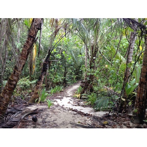 รูปถ่าย คอสตาริกา(Costa Rica) กาอุยตา(Cahuita) 2015-03 48