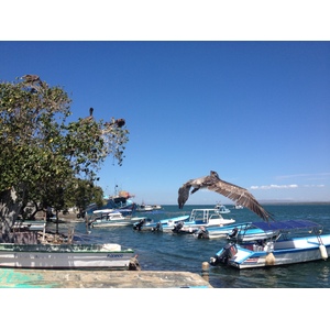 รูปถ่าย คอสตาริกา(Costa Rica) ปุนตาเรนัส(Puntarenas) 2015-03 60