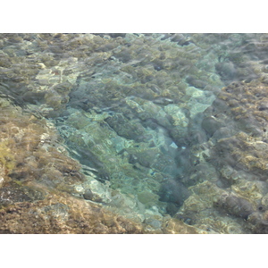 รูปถ่าย ฝรั่งเศส(France) คอร์สิคา(Corsica) ลูมิโอ่(Lumio) 2006-09 26